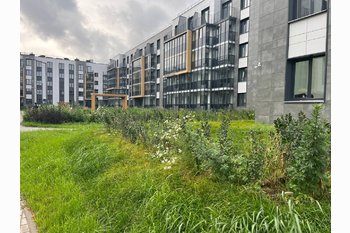  Квартира в Петербурге от 2 850 000 руб.