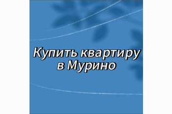  Покупка квартиры в Мурино: выгодные инвестиции в недвижимость