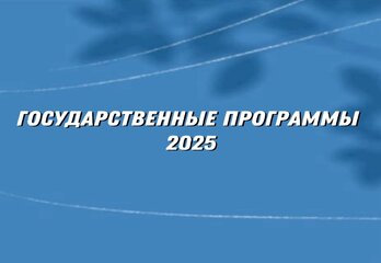 Государственные программы в 2025: что реально работае