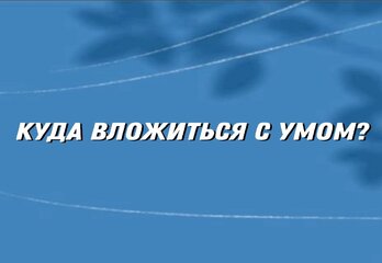 Куда вложиться с умом: новостройки Петербурга для инвесторов