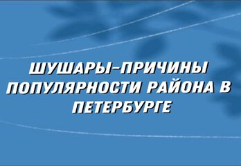 Шушары-причины популярности района в Петербурге