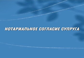 Зачем нужно нотариальное согласие супруга при сделке с новостройкой? Разбираемся по пунктам