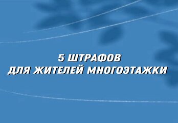 5 неожиданных штрафов для жителей многоэтажек: от грязных окон до перепалки в чате