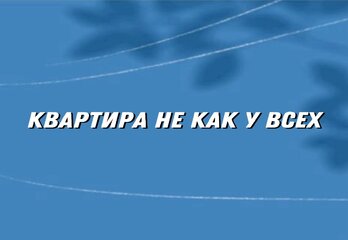 Квартира не как у всех: зачем застройщики предлагают сотни планировок в Петербурге