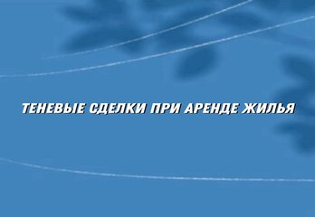 До 95% сделок в тени: эксперты оценили реальный масштаб аренды жилья в России