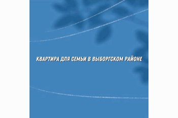  Лучшая квартира для семьи в Выборгском районе: где комфортно жить и выгодно купить
